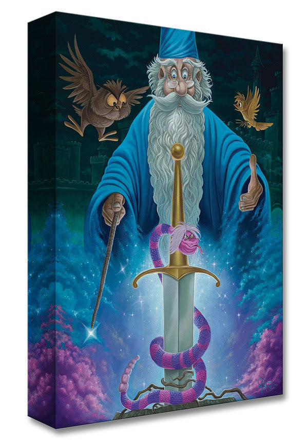 Merlin's Domain-Disney Treasure on Canvas